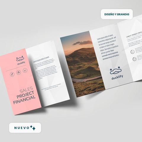 Diseño Papelería Trípticos